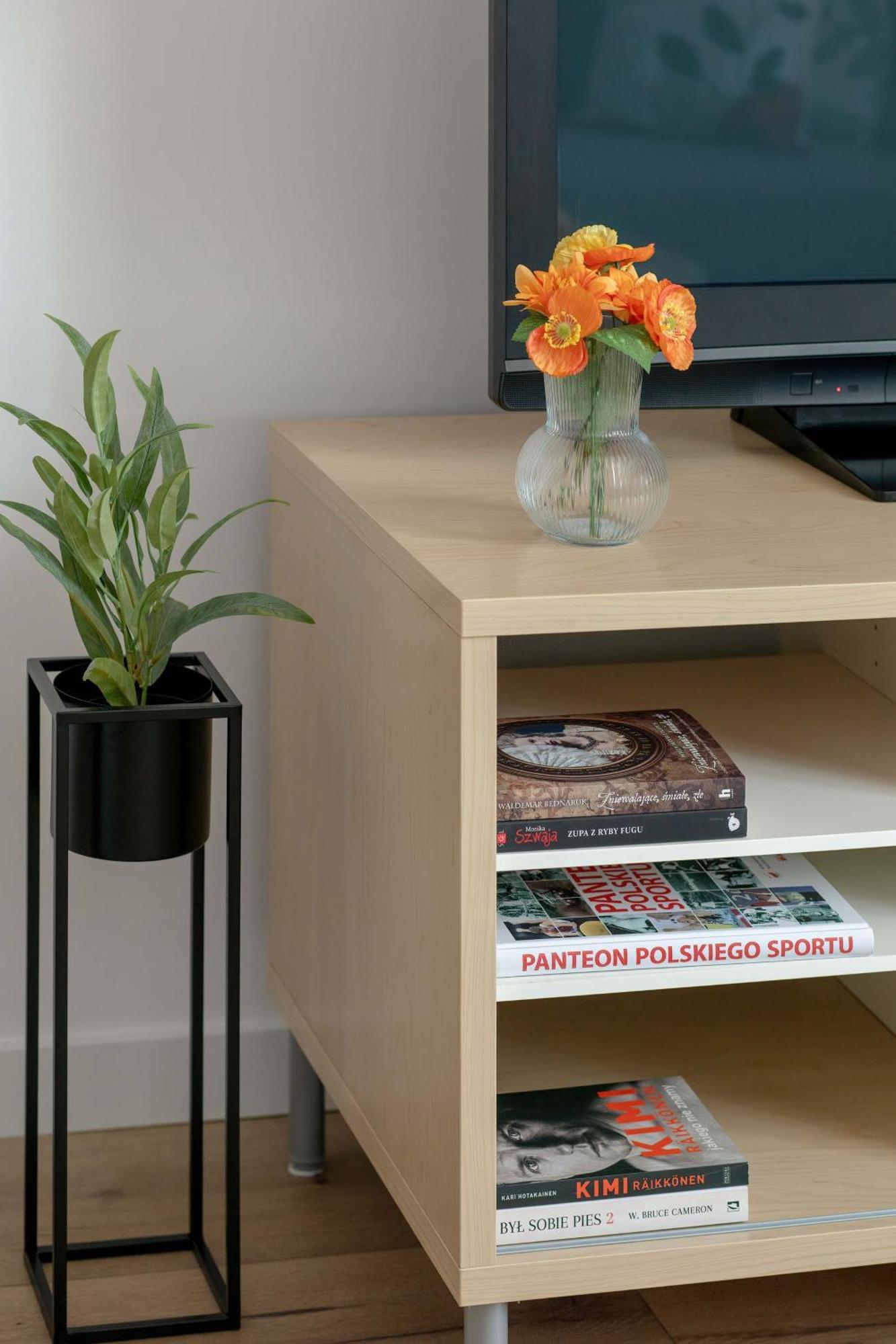 Raclawicka Modern For 4 Guests By Renters Apartment Danzig
